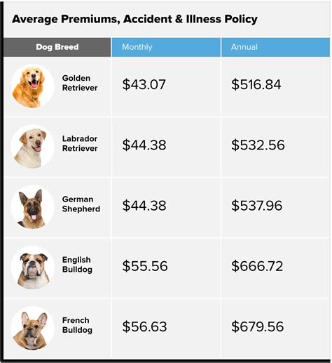 What Pet Insurance Costs | Money