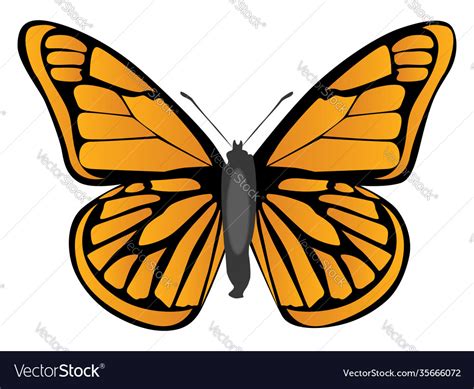 Orange butterfly on a white background Royalty Free Vector