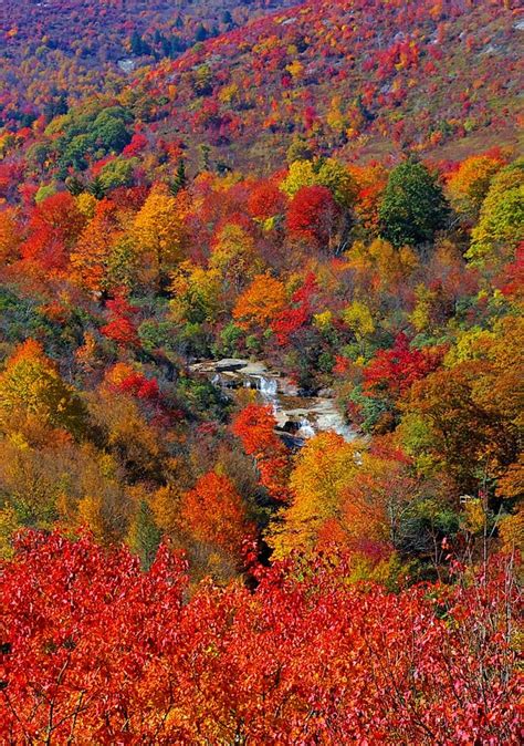 fall foliage in the mountains with trees turning colors