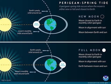 Ocean Tides Diagram