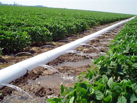 Poly-Pipe Irrigation for Typical Level Grade Farming