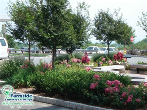 Parking Lot Landscaping Plan