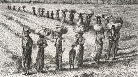 Slavery: Welsh weavers 'implicated in US slave trade' - BBC News