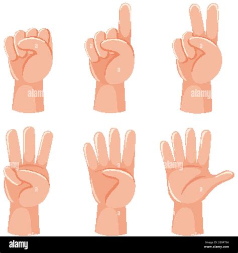 Counting numbers with hand gesture illustration Stock Vector Image ...