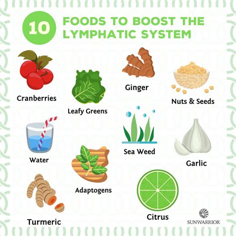 10 Foods to Boost the Lymphatic System for Improved Health Health Info ...