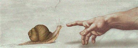 Immortal Snail by Heidi-cripps on DeviantArt