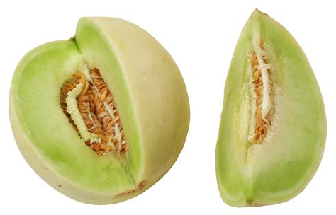 Honeydew (melon) - Wikipedia