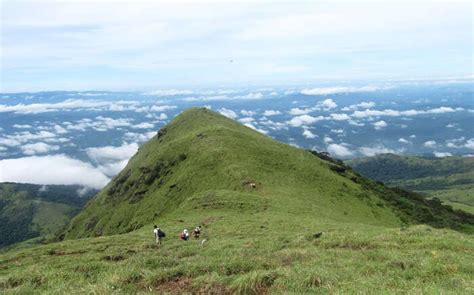 Trekking In Coorg: 15 Trails For An Adventurous Trip In 2022!