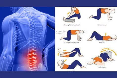 The Purpose of Lower Back Pain Exercises