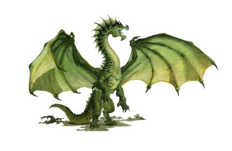 Green dragon in 2020 | Green dragon, Dnd dragons, Fantasy dragon