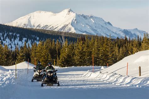 Snowmobiling in Yellowstone National Park 2024-2025 - Rove.me