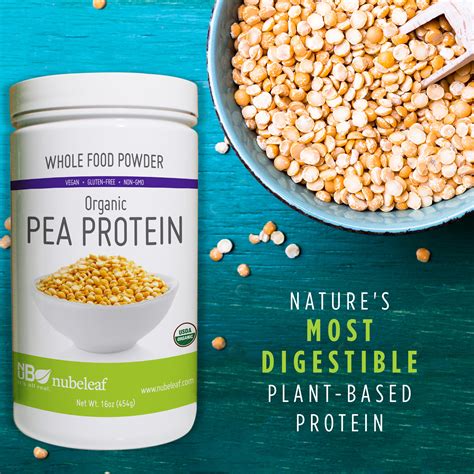 Organic Pea Protein Powder | 5 Lb — nubeleaf