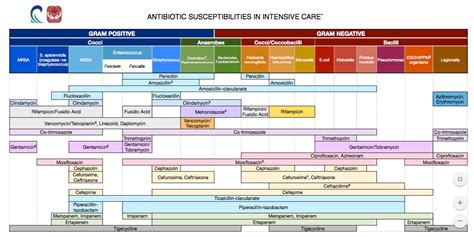 [Serious] Updated Pocket Size Antibiotic Chart Sheet : medicalschool