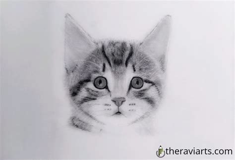 How To Draw A Cat For Kids » Step By Step>>The Ravi arts Animal Drawing