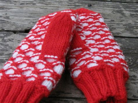 Saucy Ramblings: Newfie Mittens finished!