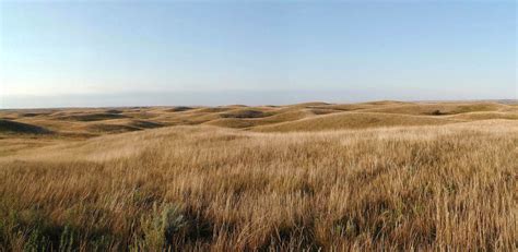 Great Plains’ Ecosystems Have Shifted 365 Miles Northward Since 1970 ...