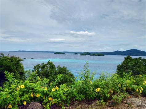 Tropical beaches of Panama stock image. Image of beach - 252203911