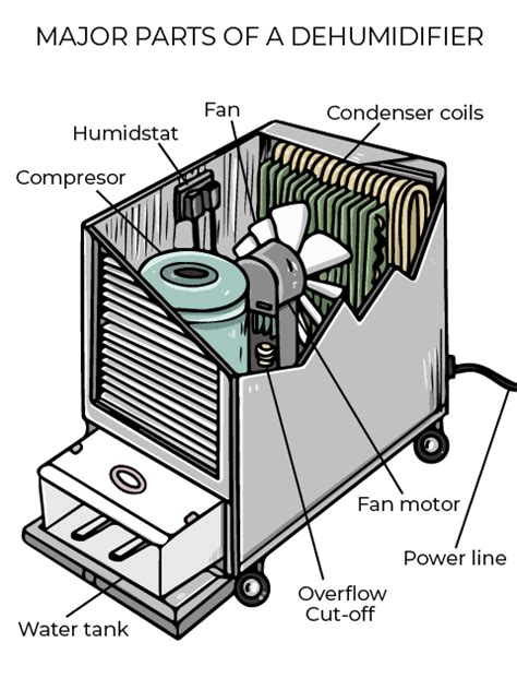 Top 5 Common Dehumidifier Problems and Solutions - dehumidifier-guide.com