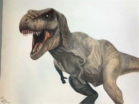 Colored pencil drawing of T-Rex