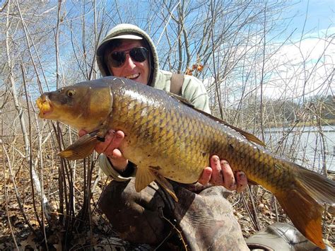 Ice-Out Action: Small Pond Carping - The Fisherman