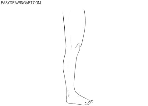 Leg Bones Drawing Easy How To Draw Legs Really Easy Drawing Tutorial ...