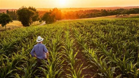 Tips for Small Scale Farmers in South Africa - Farming South Africa