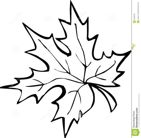 fall leaf clipart black and white 10 free Cliparts | Download images on ...