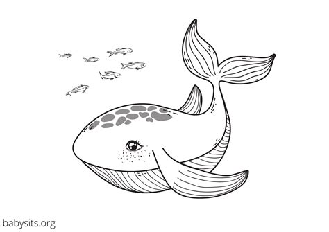 Free printable colouring pages of sea animals