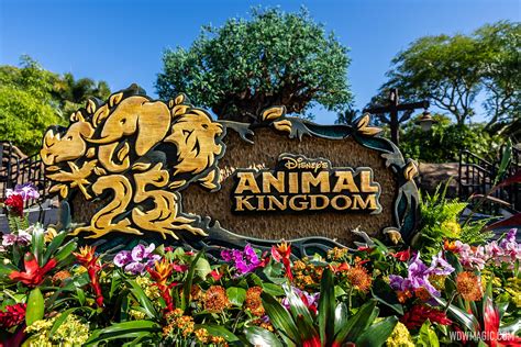 Disney's Animal Kingdom celebrates 25th anniversary with a special ...