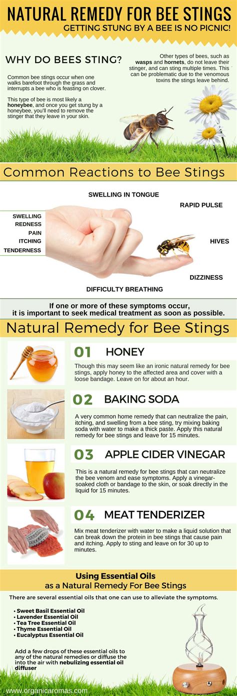 Treating Bee Sting On Foot Factory Sale | emergencydentistry.com