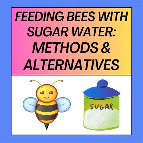 Feeding Bees with Sugar Water: 11 Best Practices and 12 Alternatives ...