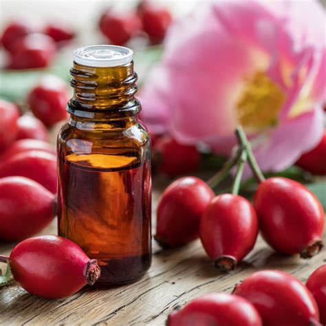 Rosehip Seed Oil Benefits for Skin: How to Use, Where to Buy + DIY ...