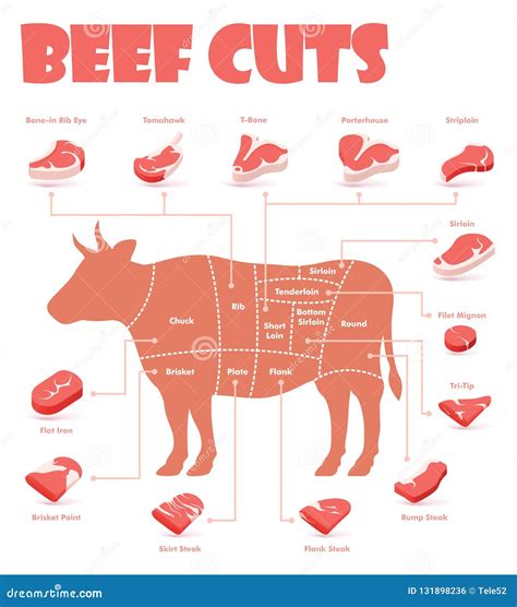 Vector Beef Steak Diagram Poster. American Meat Cutting. White Flat Cow ...