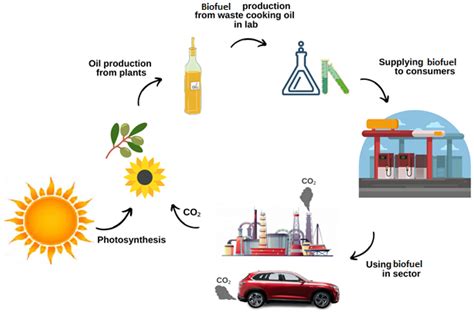 To Vegetable Oil Biofuel Process