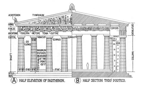 Architectural Elements of the Parthenon (Illustration) - World History ...