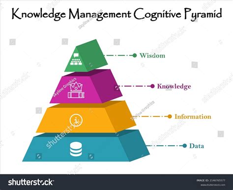 Dikw Knowledge Management Cognitive Pyramid Infographic 库存矢量图（免版税 ...