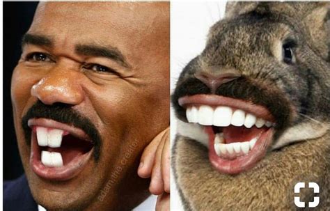 Steve Harvey Meme Template