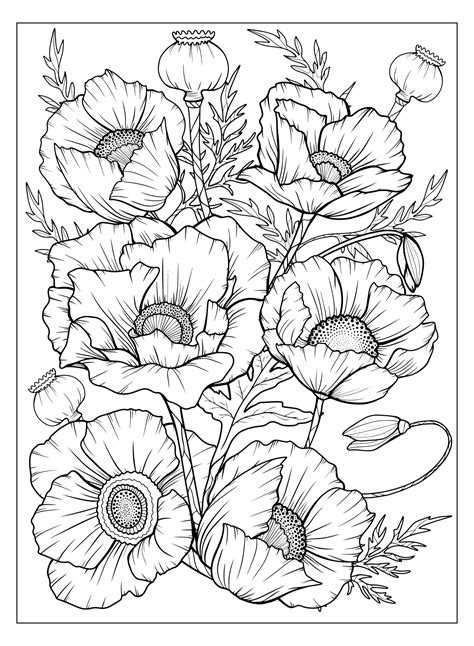 Black And White Colouring Pictures Of Flowers - Home Alqu