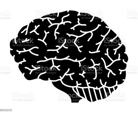 Human Brain Isolated Vector Silhouette Stock Illustration - Download ...