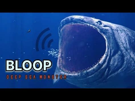 The BLOOP Sound 😱🔊💀💯 | A Mysterious Sound Ever Recorded In The Deep ...