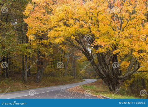 Fall colors, skyline drive stock image. Image of golden - 38013041