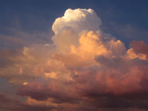 Free Images : nature, cloud, sunrise, sunset, white, sunlight, dawn ...