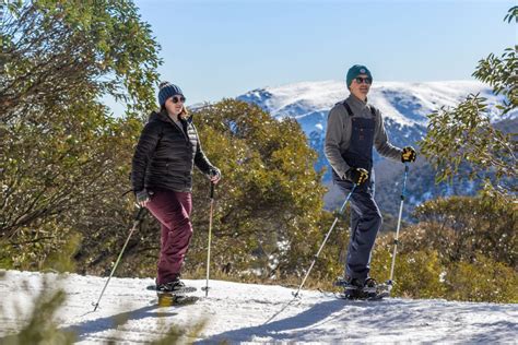 Winter Activities - Falls Creek Alpine Resort