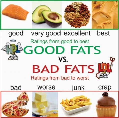 The Difference Between Saturated and Unsaturated Fats