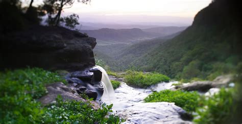 Gold Coast Hinterland Holiday House - Hamptons Hinterland Retreat