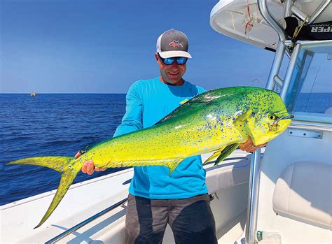 Mahi On The Move: Searching For Summer Migrators - The Fisherman