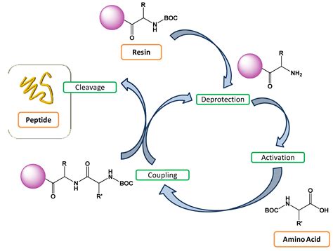 Polymers | Free Full-Text | Peptide-Based Polymer Therapeutics