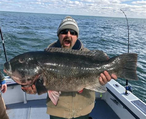 Another World Record Tautog in Ocean City, Maryland - Ocean City MD Fishing