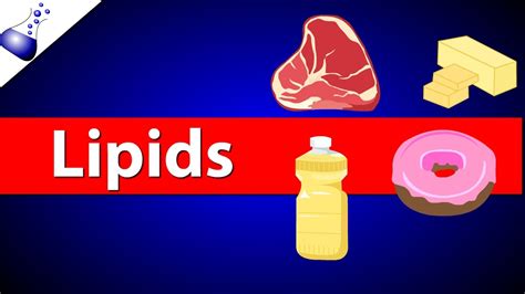 Lipid Examples