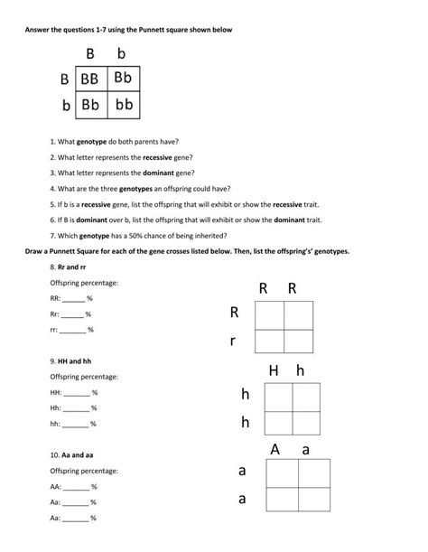 Punnett Square Practice Worksheet with Answers - Laney Lee - Worksheets ...